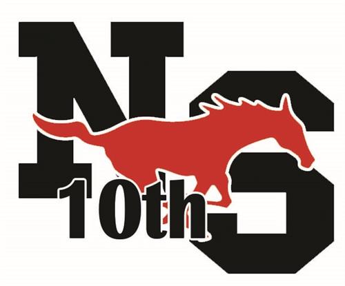 NS10 Logo 